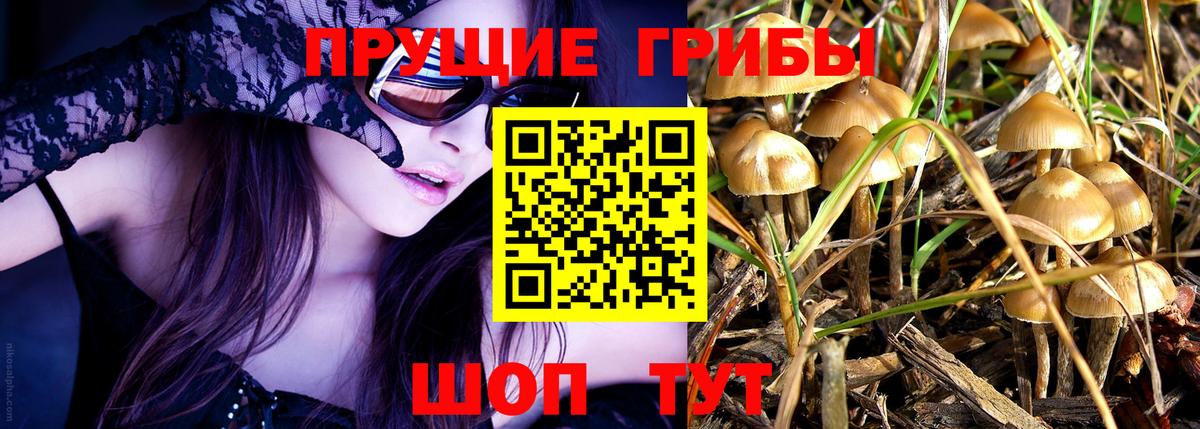 Петропавловск-Камчатский  Псилоцибиновые грибы Psilocybe  Вход с VPN  Галлюциногенные грибы прущие грибы 